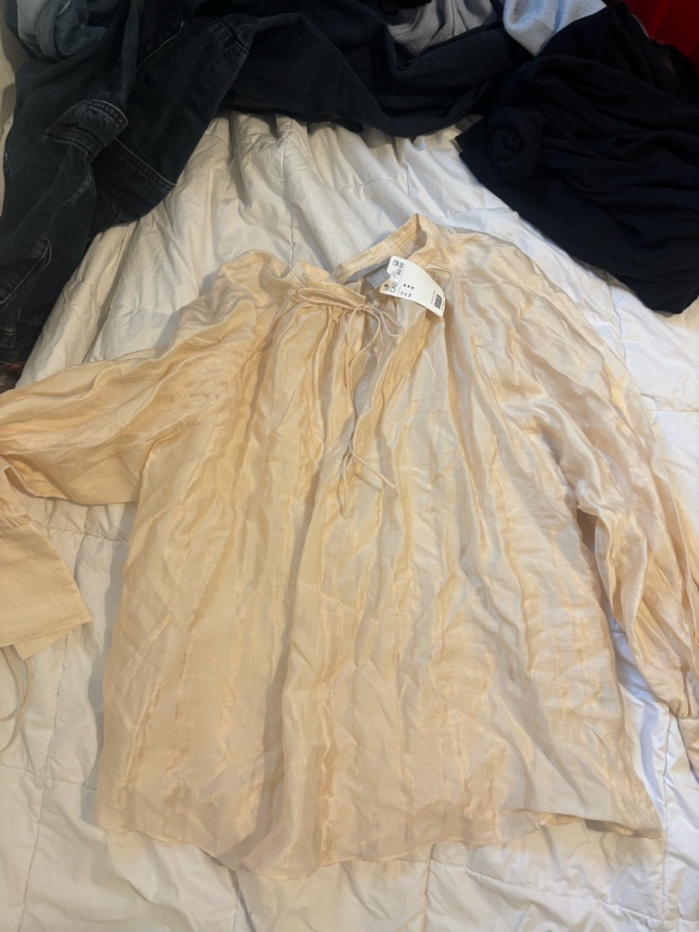 Light Cream Sheer Long-Sleeve Peasant Women’s Top